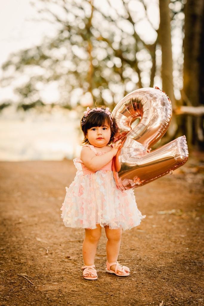 Vestido Infantil Asa Borboletinhas